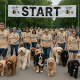 DOODLE DASH - Walk-a-Thon 